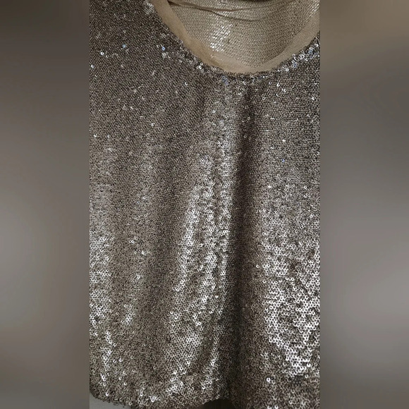 FREE PEOPLE Champagne Dreams Top sequin hold. Size XS - Picture 13 of 16